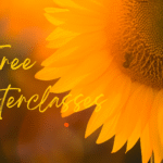 Free Masterclasses for a Healthier, Happier You