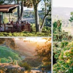 Make Space for Yourself: Creative Online Retreats to Help You Slow Down and Reconnect