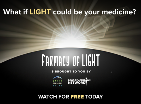 Farmacy of Light 2026