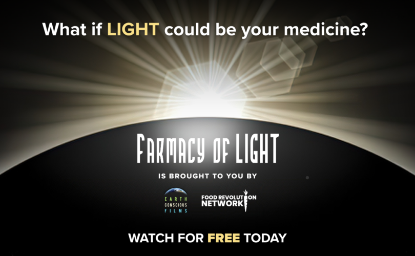 Farmacy of Light 2026