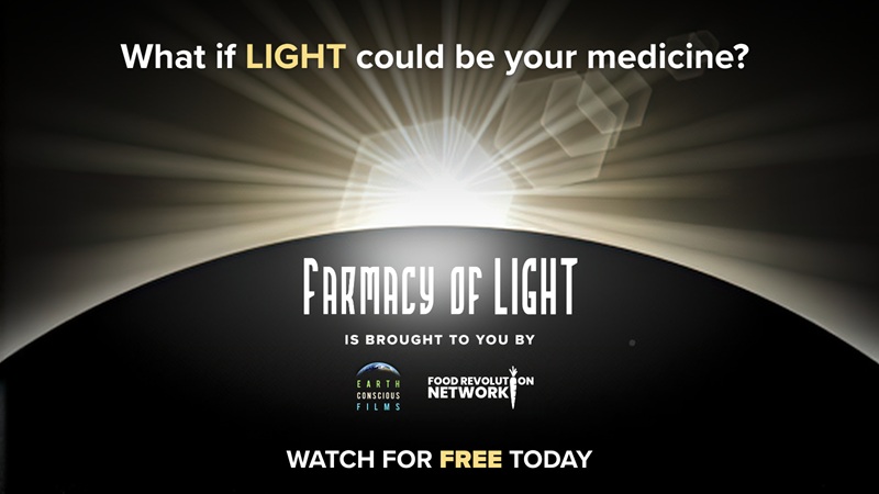 Farmacy of Light 1