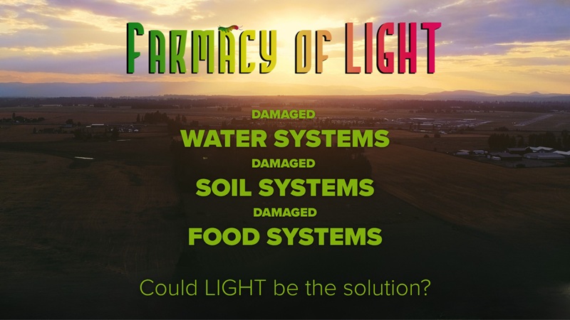Farmacy of Light 4
